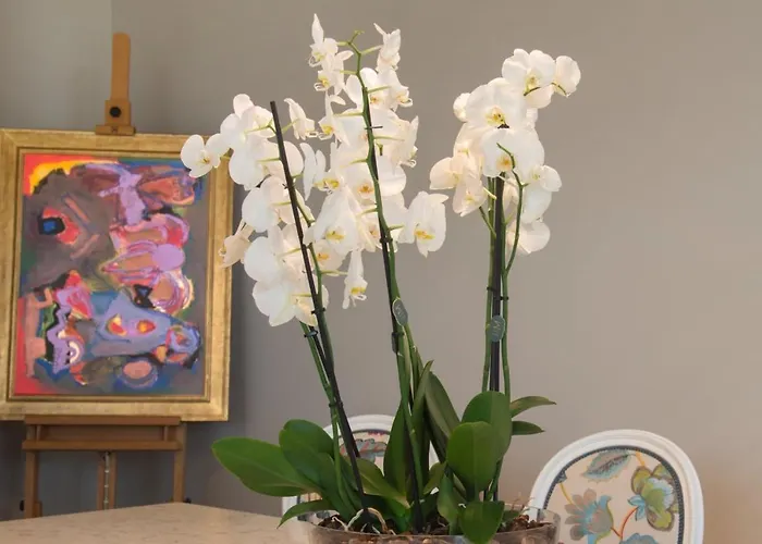 Giuliveto فندق مبيت وإفطار